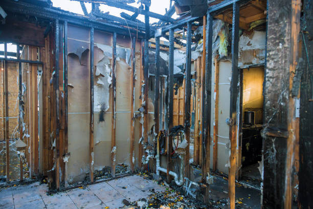 Professional Fire Damage Repair technician working in Carl Junction, MO